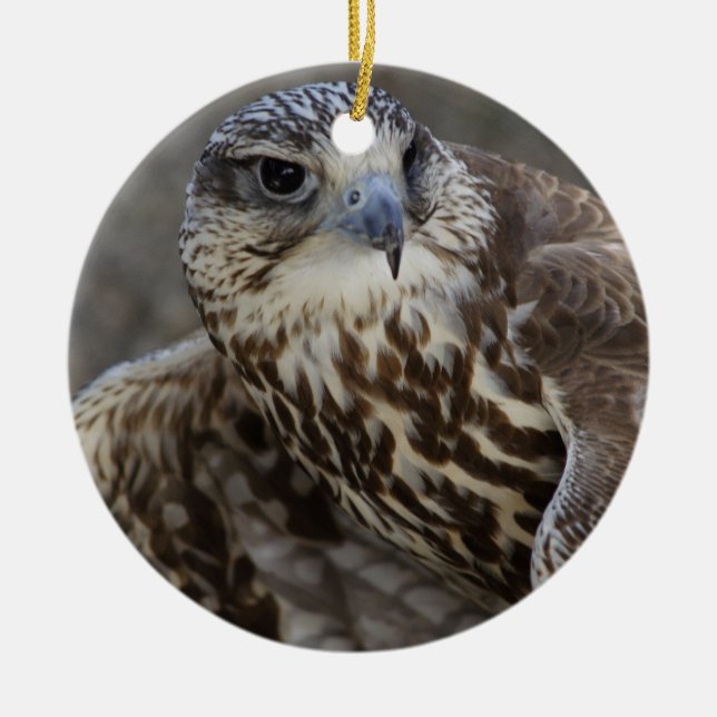 Adorno De Cerámica Falco cherrug (Frente)