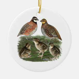 Adorno De Cerámica Familia de codornices Bobwhite
