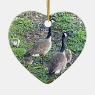 Adorno De Cerámica Familia Geese de Canadá