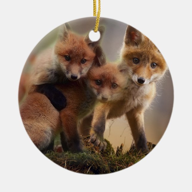 Adorno De Cerámica Familia linda del Fox (Frente)