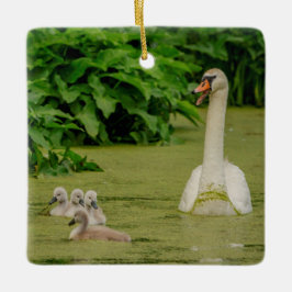 Adorno De Cerámica Familia Swan