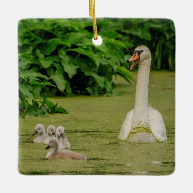 Adorno De Cerámica Familia Swan (Anverso)