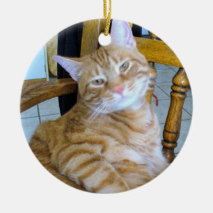 Adorno De Cerámica Feline Tabby Cat Happy Healthy Spoiled