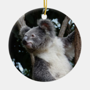 Adorno De Cerámica feliz koala-mas