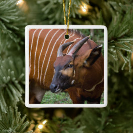 Adorno De Cerámica ¡Feliz Montaña Bongo Antelope!