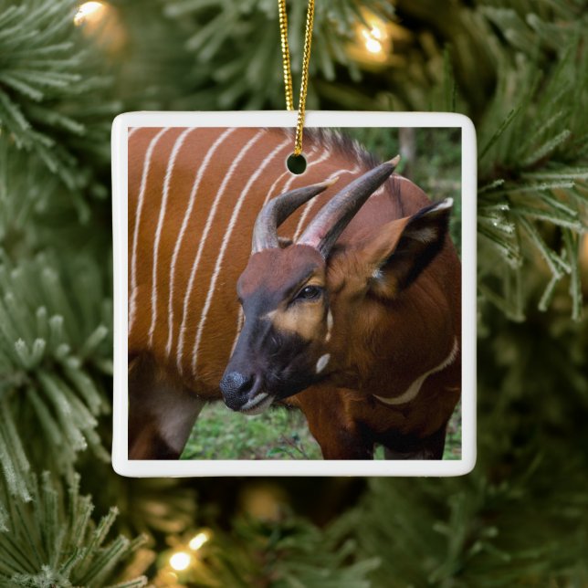 Adorno De Cerámica ¡Feliz Montaña Bongo Antelope! (Árbol)