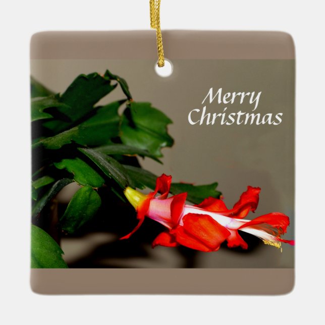 Adorno De Cerámica Feliz Navidad Cactus (Anverso)