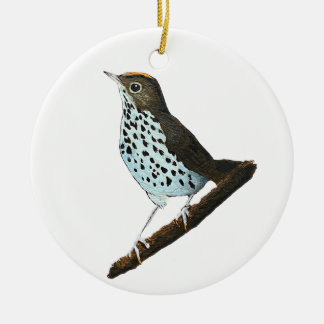 Adorno De Cerámica Feliz Navidad ~Ovenbird