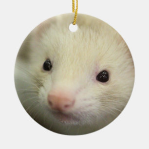 Adorno De Cerámica Ferret face