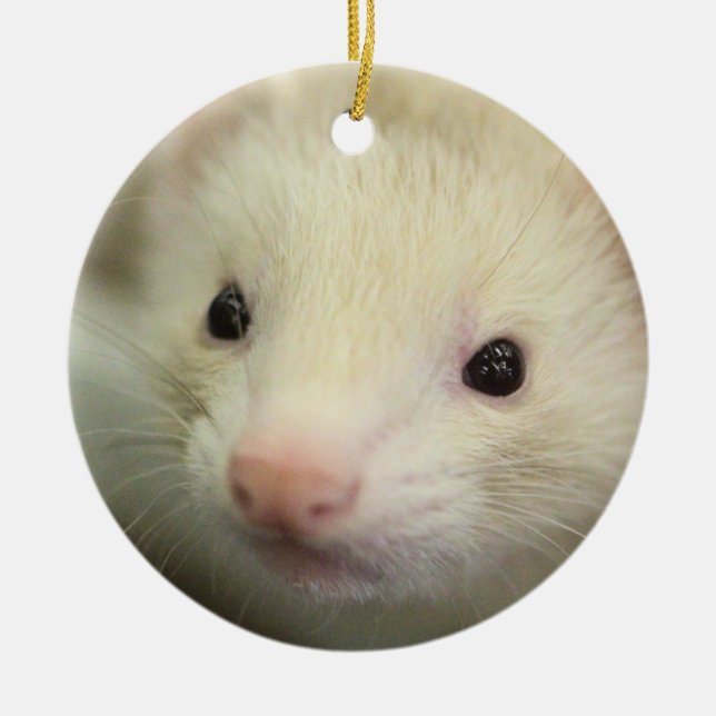 Adorno De Cerámica Ferret face (Frente)