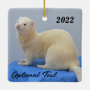 Adorno De Cerámica Ferret Mascota blanco personalizado