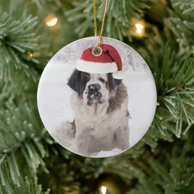 Adorno De Cerámica Festive Saint bernard dog with santa hat (Árbol)