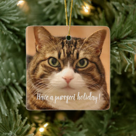 Adorno De Cerámica Festividad en memoria del Mascota del gato persona