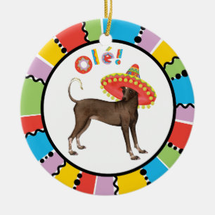 Adorno De Cerámica Fiesta Xolo