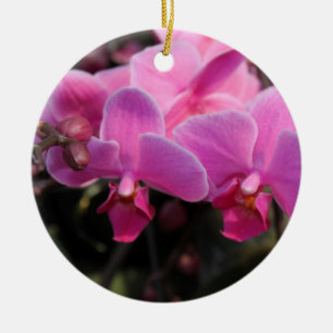 Adorno De Cerámica fiestas felices, flores de orquídea rosa bonito