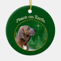 Fila Brasileiro