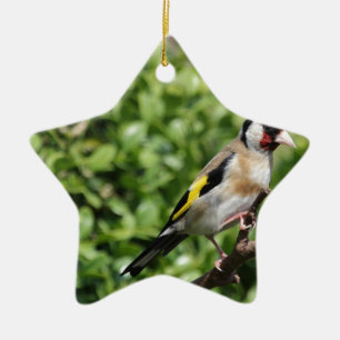 Adorno De Cerámica FInch