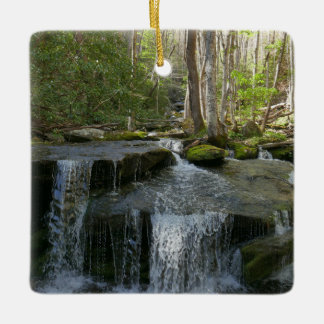 Adorno De Cerámica Findlay Falls I