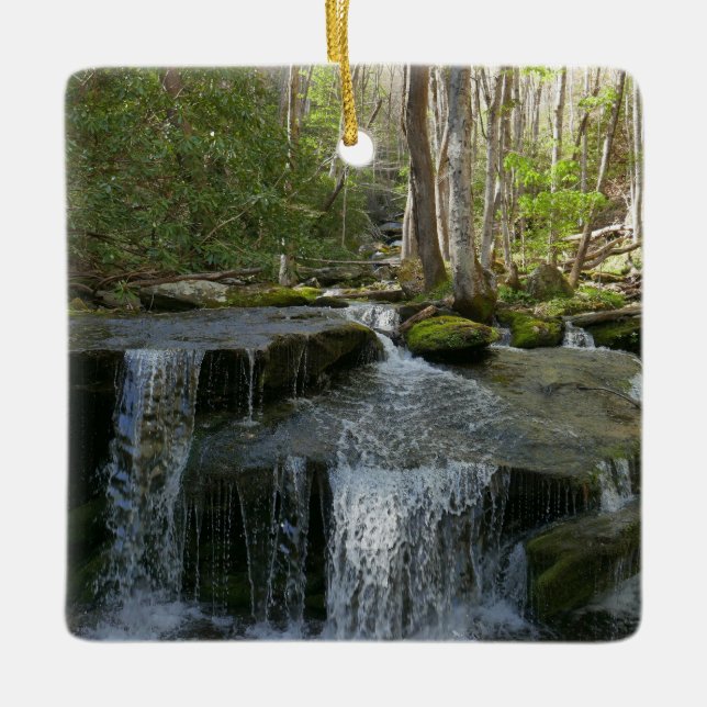 Adorno De Cerámica Findlay Falls I (Anverso)