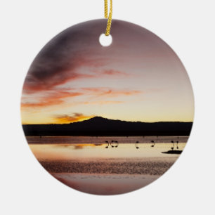 Adorno De Cerámica Flamingo chileno