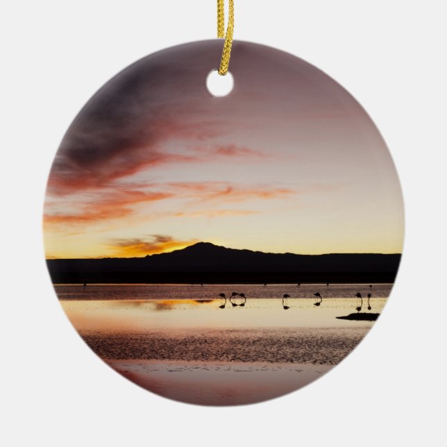 Adorno De Cerámica Flamingo de Chile (Frente)