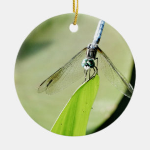 Adorno De Cerámica Flauta azul sobre una hoja verde