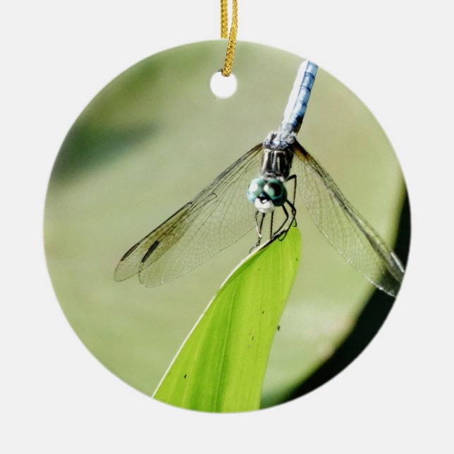 Adorno De Cerámica Flauta azul sobre una hoja verde (Frente)