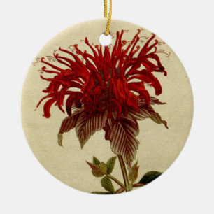 Adorno De Cerámica Flor botánica de Navidades rojos