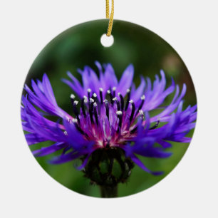 Adorno De Cerámica Flor de Aciano Azul Florece Paz Amor Destino
