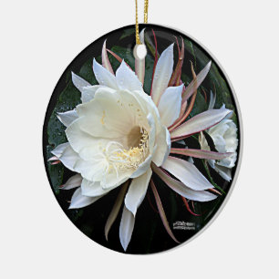 Adorno De Cerámica Flor de Cactus Epífita