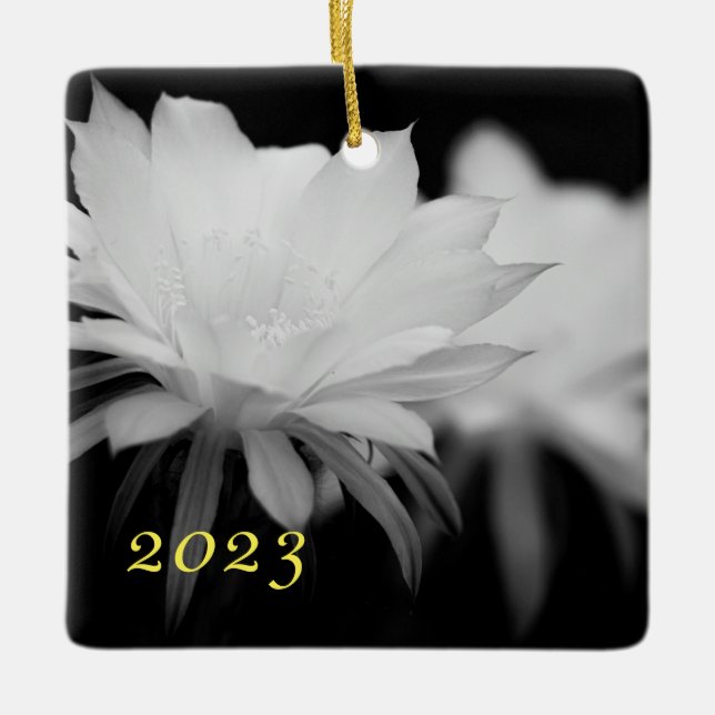 Adorno De Cerámica Flor de cactus negra y blanca (Anverso)