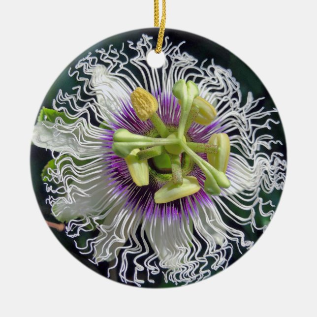 Adorno De Cerámica Flor de fruta de pasión (Frente)