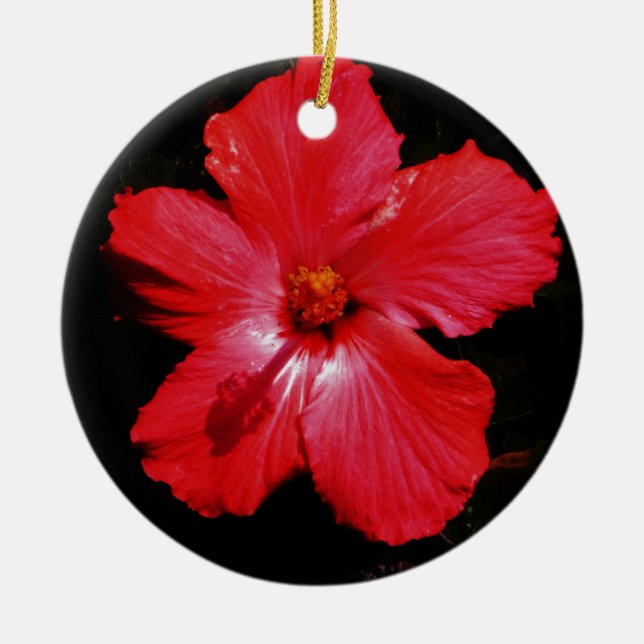 Adorno De Cerámica Flor de Hibiscus rojo rosado caliente en negro (Frente)