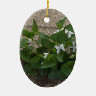 Adorno De Cerámica Flor de la acera