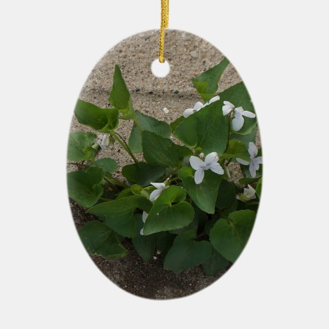 Adorno De Cerámica Flor de la acera (Frente)