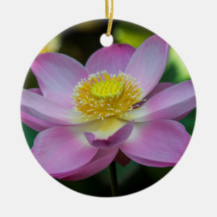Adorno De Cerámica Flor de loto florecida, Indonesia