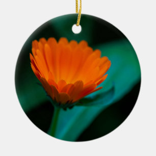 Adorno De Cerámica flor de margarita naranja