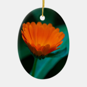 Adorno De Cerámica Flor de margarita naranja