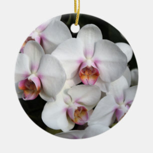 Adorno De Cerámica Flor de orquídea blanca exótica. Feliz cumpleaños.