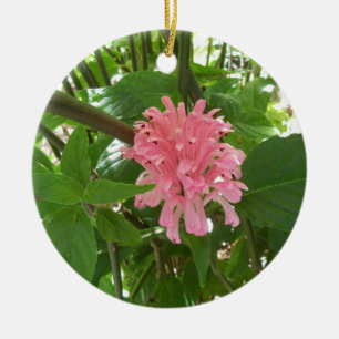 Adorno De Cerámica flor de pluma brasileña