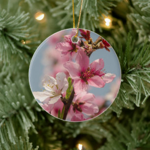 Adorno De Cerámica Flor de Sakura, Flores Rosadas Contra Cielo Azul