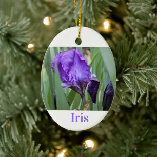 Adorno De Cerámica Flor iris púrpura