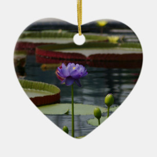 Adorno De Cerámica Flor morada de agua de Lotus