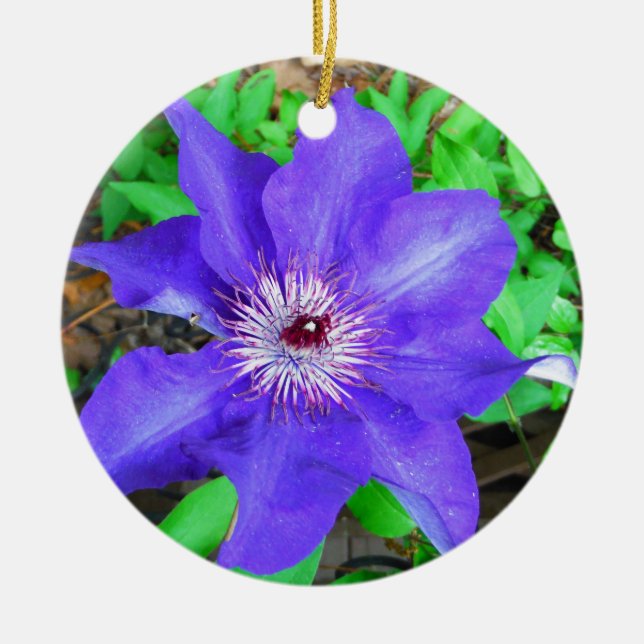 Adorno De Cerámica Flor morada de clematis (Frente)