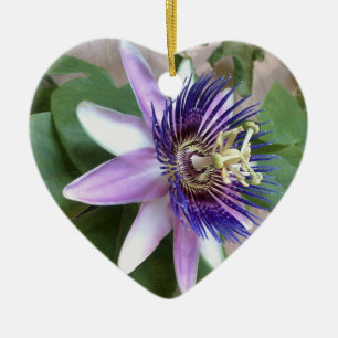 Adorno De Cerámica Flor púrpura de la pasión