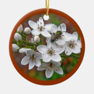 Adorno De Cerámica Flor silvestre blanca y mosca de abeja