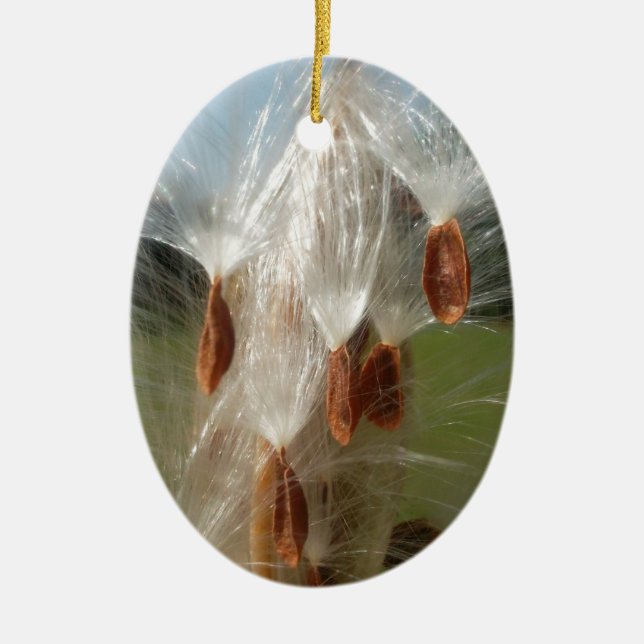 Adorno De Cerámica Flora y fauna de la época flotando.jpg (Frente)