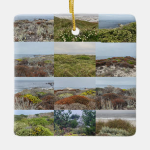 Adorno De Cerámica Floreciente en el mar: Asilomar