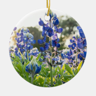 Adorno De Cerámica Flores azules de Bluebonnets Texas Texan Lupine