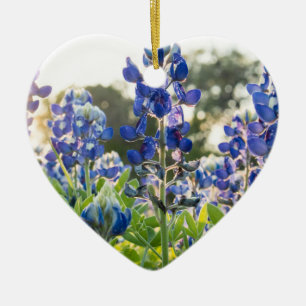Adorno De Cerámica Flores azules de Bluebonnets Texas Texan Lupine